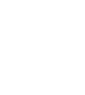 ico.